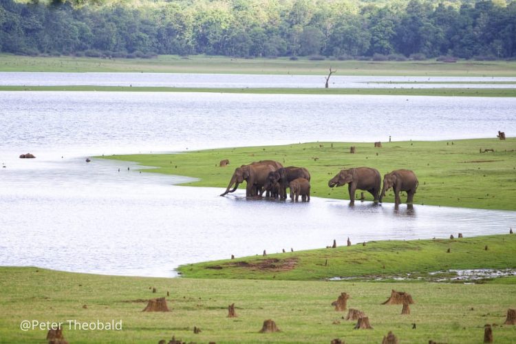 Luxury Mysore Coorg Kabini Tour,luxury india tour package