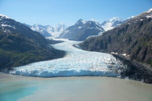 Alaska Glaciers and wildlife tour, Alaska group tours